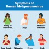 22443-human-metapneumovirus2.jpg
