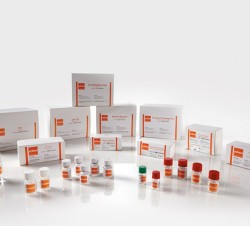 لیست محصولات