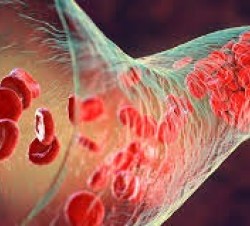 Blood coagulation